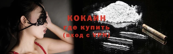 тгк Богородицк