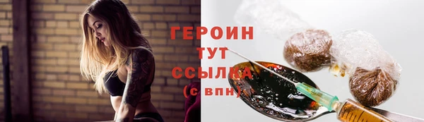прущий лед Богданович