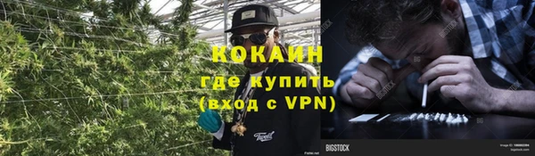 прущий лед Богданович