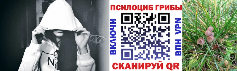 Псилоцибиновые грибы Magic Shrooms  Череповец 